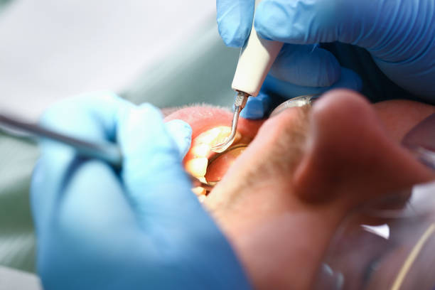 Best Emergency Dental Services for Seniors in Dandridge, TN