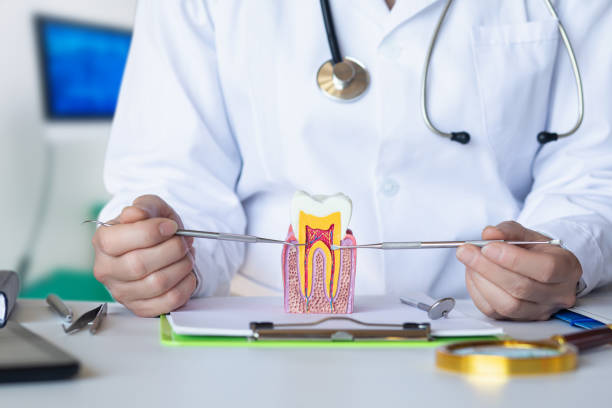 Best Pediatric Emergency Dentist in Dandridge, TN